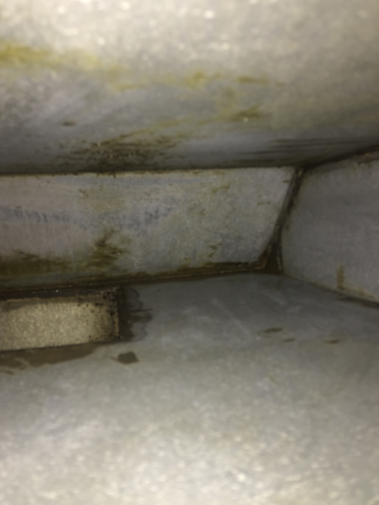 Exhaust Fan – After Cleaning