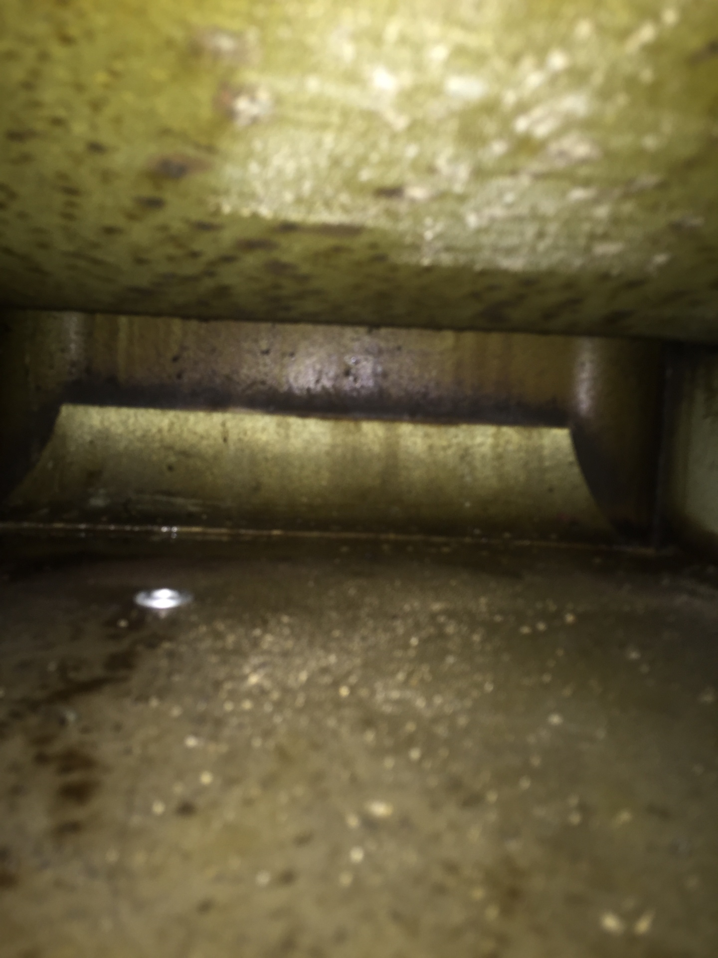 Exhaust Fan – Before Cleaning